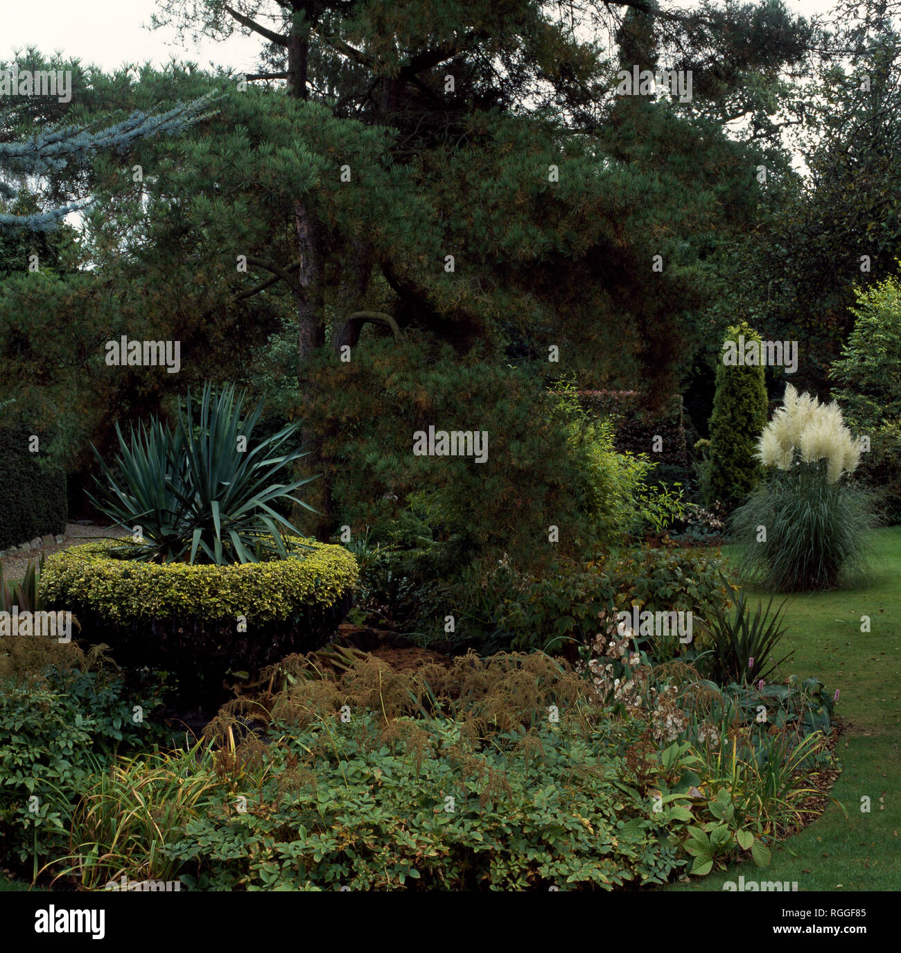 Edera ritagliata attorno all'antica urna di pietra nel giardino di campagna Foto Stock