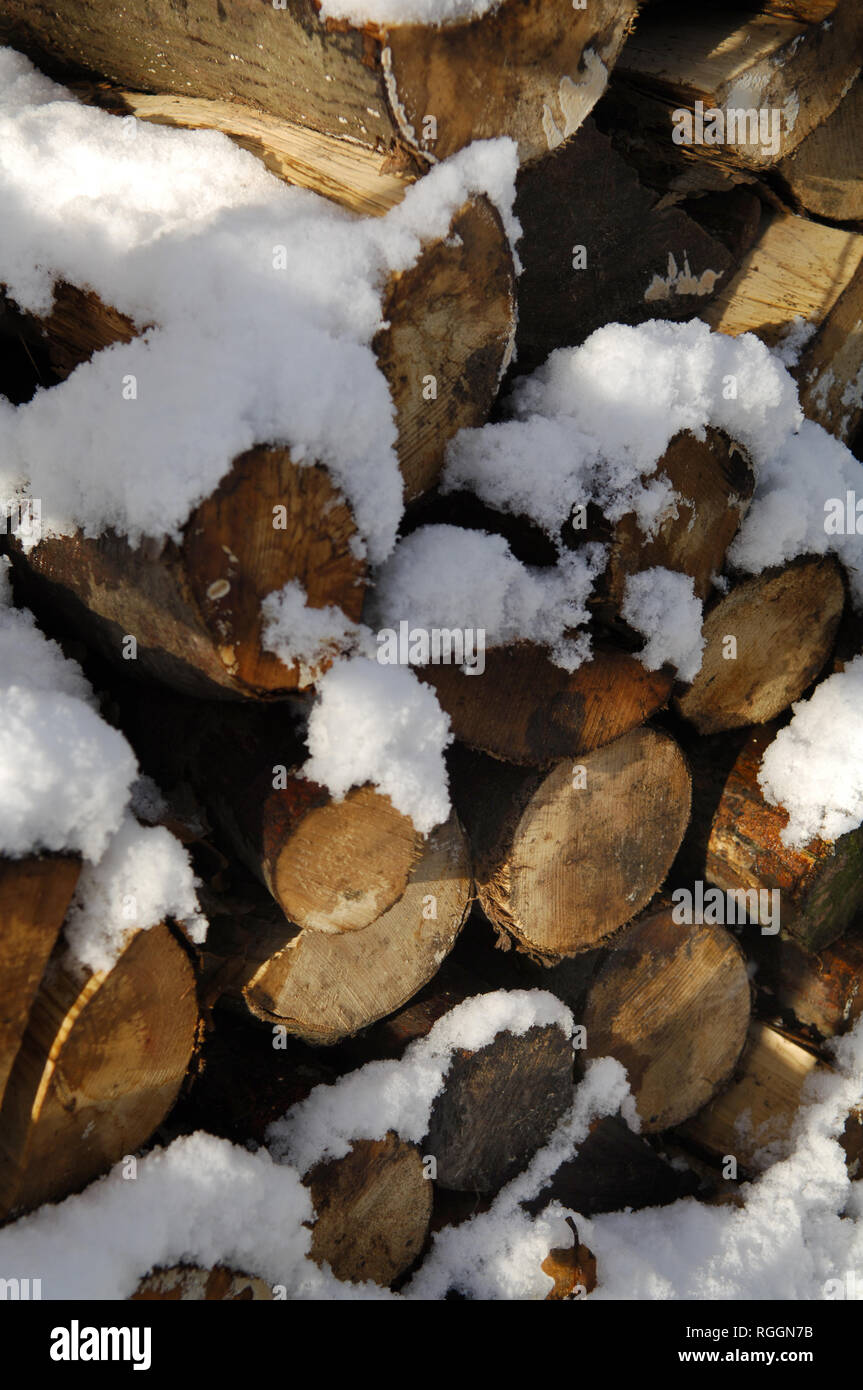 Woodpile nella neve Foto Stock