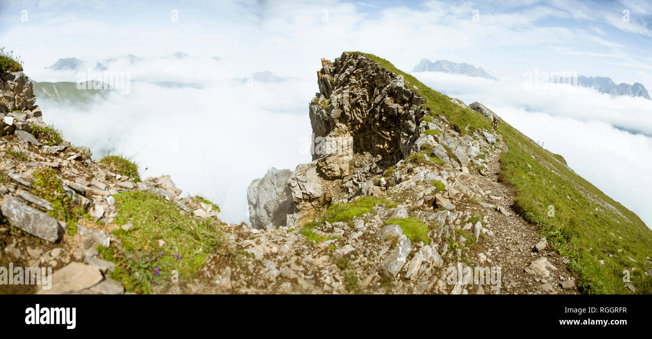 torre panoramica foce dell adige