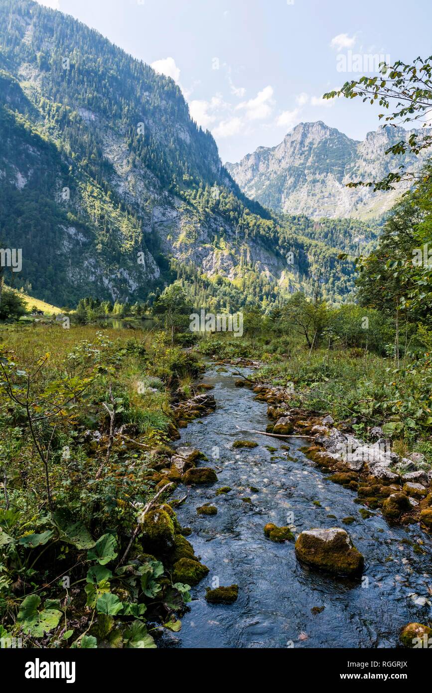 Il fiume scorre attraverso la palude, Königssee, Berchtesgaden, Alta Baviera, Baviera, Germania Foto Stock