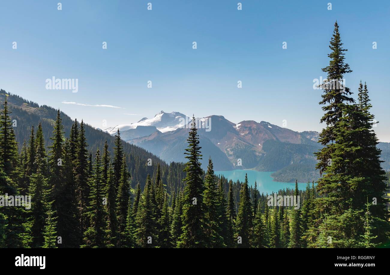 Vista lago Lago Garibaldi, foreste e montagne innevate, Panorama Ridge trail, Garibaldi Provincial Park, British Columbia Foto Stock