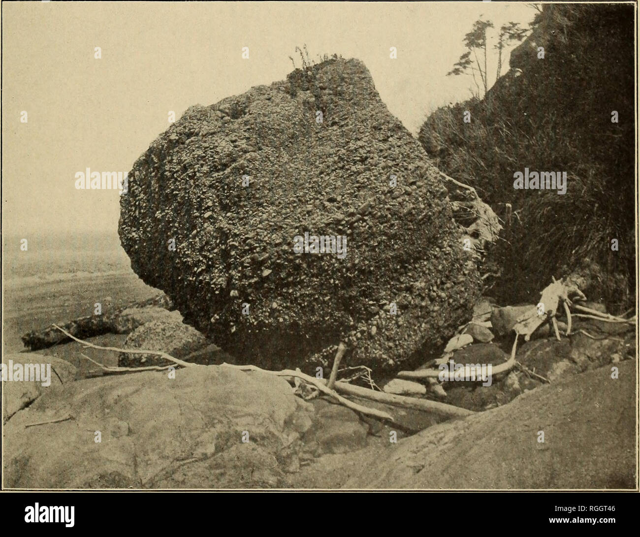 . Bollettino della Geological Society of America. La geologia. Figura 1.-diga di pietra arenaria in soft Oligocene-Miocene Shale tre quarti di un miglio a est di East Twin River. Fotografia di C. W. Washburne, 1904. Figura 2.-Boulder del Pleistocene ghiaia sulla spiaggia a sud della foce del fiume Queets questa ghiaia è abbastanza saldamente cementata da ossido di ferro per essere considerato un vero conglomerato, fotografia dal professor Henry Landes, 1902 caratteristiche geologiche della costa della Penisola Olimpica, Washington. Si prega di notare che queste immagini vengono estratte dalla pagina sottoposta a scansione di immagini che possono essere state migliorate digitalmente per la leggibilità - Foto Stock