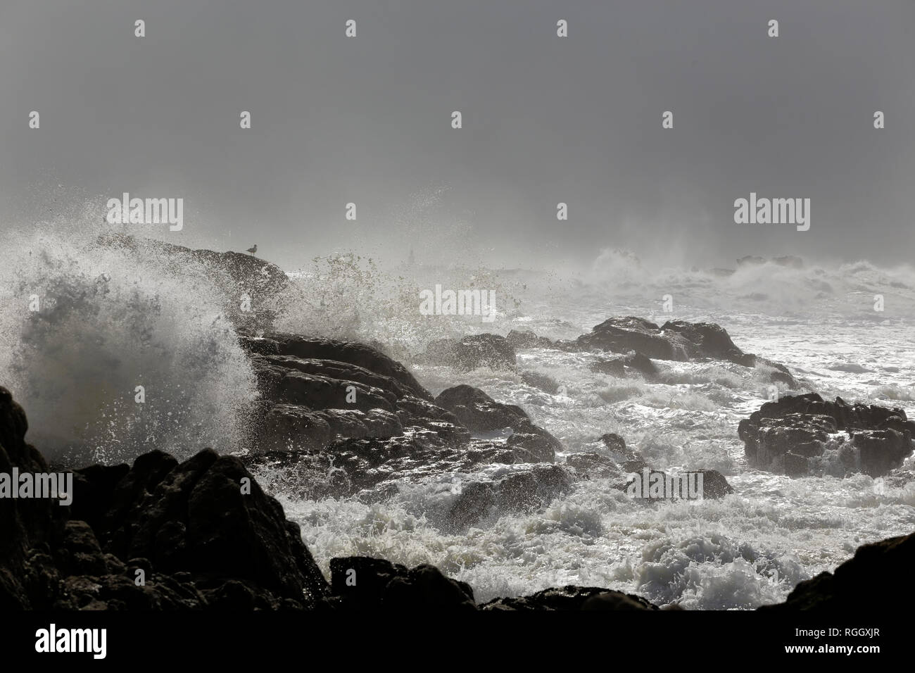 Northern portoghese costa rocciosa durante una tempesta Foto Stock