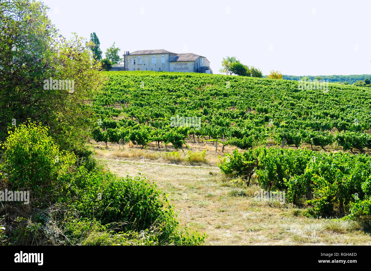 Campagnac, Francia - 12 agosto 2018: vinificazione in Francia. Manor di L'emmeille circondato con vigneto. Campagnac, Francia. Foto Stock