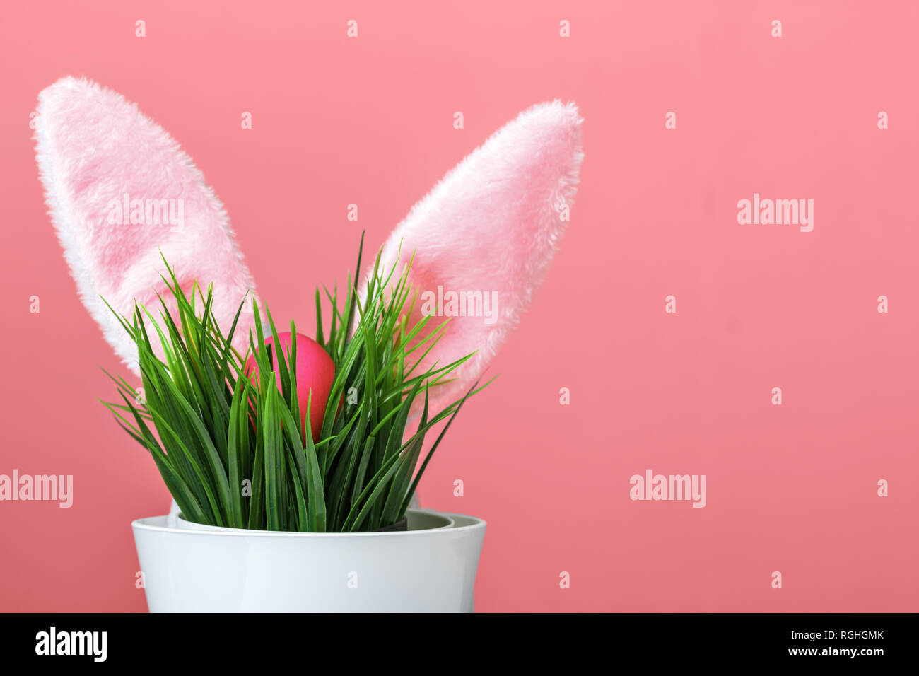 Grippaggio orecchie di coniglio di un vaso di fiori con erba verde e rosso di un uovo. Concetto di pasqua. Spazio di copia Foto Stock