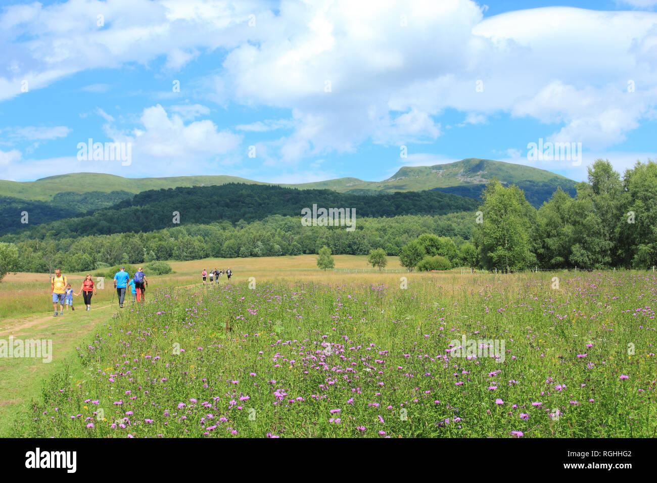 Tarnica. Il monte più alto nei monti Bieszczady Bieszczadzki National Park, Polonia Foto Stock