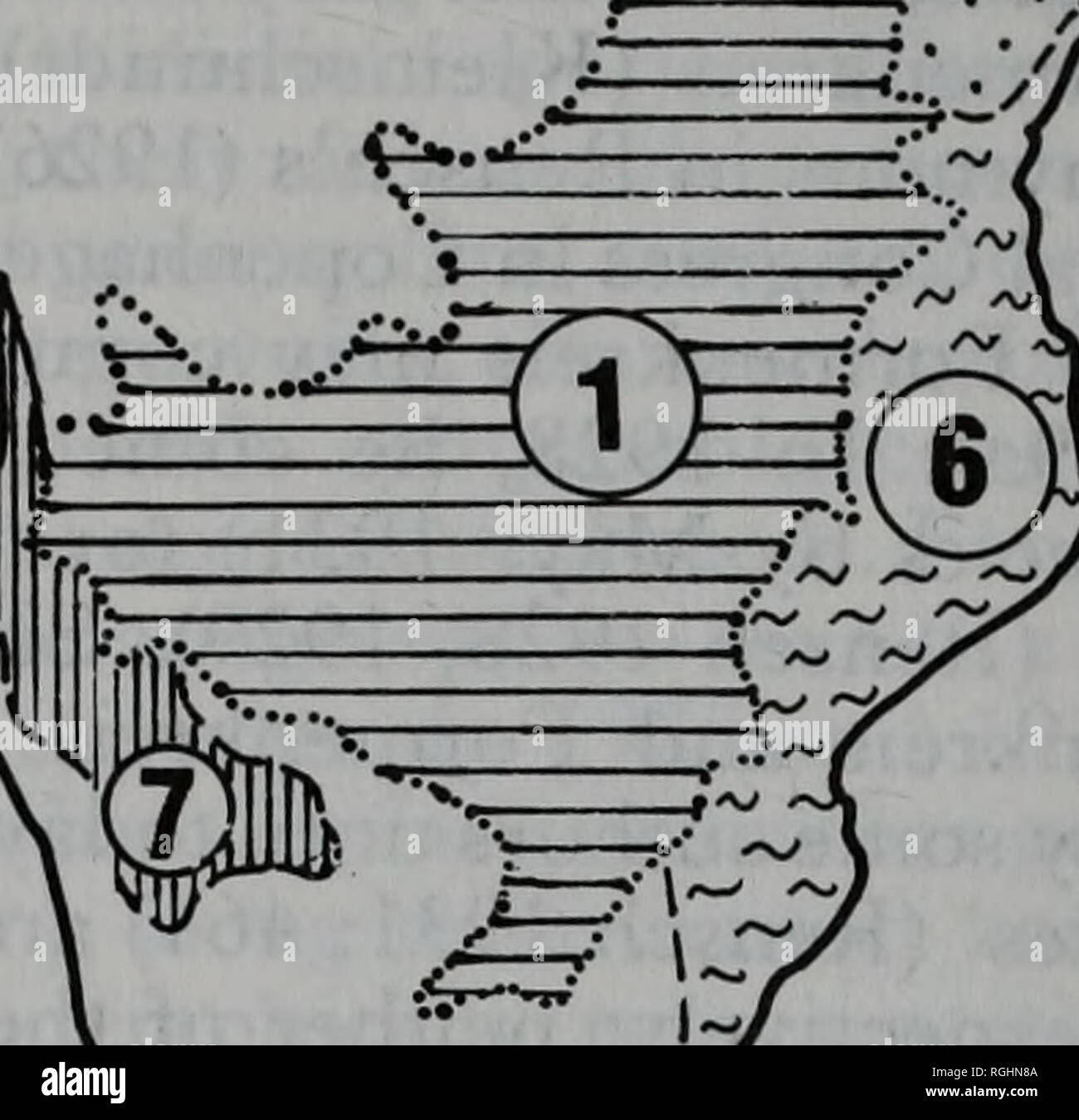 . Bollettino della British ornitologi' Club. 1. P. meyeri 2. P. senegalus 3. P. crasso 4. P. flavifrons 5. P. rufiventris 6. P. cryptoxanthus 7. P. rueppellii f. V - • • • '/. La figura 2. Distribuzione dei pappagalli africani del Poicephalus meyeri superspecies. Semplicità- depurato dopo la neve (1978). Questo assemblaggio di parapatric specie è stata usata da Rensch (1928), insieme con le altre prove, per discutere il verificarsi di vicariant biospecies. Agli inizi degli anni trenta quando essere acquisito familiarità con la nuova ridefinizione di mutazione come lievi variazioni genetiche che potrebbero rispondere alla selezione naturale. In né Foto Stock