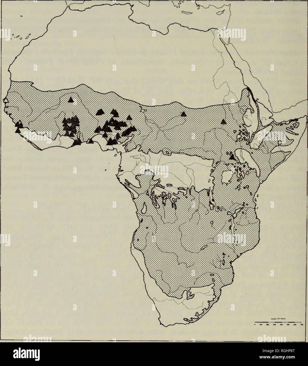 . Bollettino del Museo Britannico di Storia Naturale) Entom suppl. 126 W. A. SANDS 25-32111. Da Jos il Kaduna Road, 5.^.1957, 2 fiale, 39m. da Bauchi su Gombe. Road, 7.v.1957, Yola, 13.V.1957, 54m. da Yola su Jalingo Road, 16.V.1957, 7, 45, e 53m. S.W. di Jalingo sulla strada Takum, 17.V.1957, 3 flaconcini, 125m e 114m. S.W. di Jalingo sulla strada Takum via Beli, 18.V.1957, 3 flaconcini, 55m. dalla Damaturu su Potiskum Road, 5.VL1957, 4m. S. di Ilorin su Oyo Road, 4.XH.1957, 5m. S. di Kunya sulla strada Kano, 4.x.1957, 24m. dalla Gboko sulla strada Makurdi, 25.II.1958,. Mappa 27. Trinervitermes togoensis. Vegetazione tip. Foto Stock