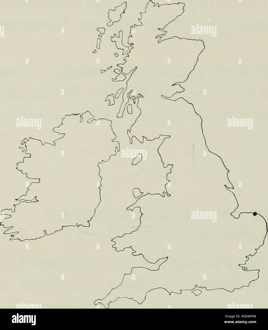 . Bollettino del Museo Britannico di storia naturale), la geologia. PLEISTOCENE 74 roditori. Fig. 5. Distribuzione dei resti di Sciurus whitei Hinton nelle isole Britanniche. Nessun altro resti fossili di questa specie sono stati trovati nelle isole britanniche, sebbene un certo numero di coni fir da depositi Cromerian della foresta letto di Norfolk recare marchi suggerendo che esse erano state rosicchiate da scoiattoli (Newton 1882 a). Newton (1881, 1882, 1891) descritta e figurato un omero da Ostenda, Norfolk (57), che ha acconsentito a stretto contatto in forma con quella della vita di scoiattolo rosso 5. vulgaris Linn., ma lui non era certo di stuzzicare Foto Stock