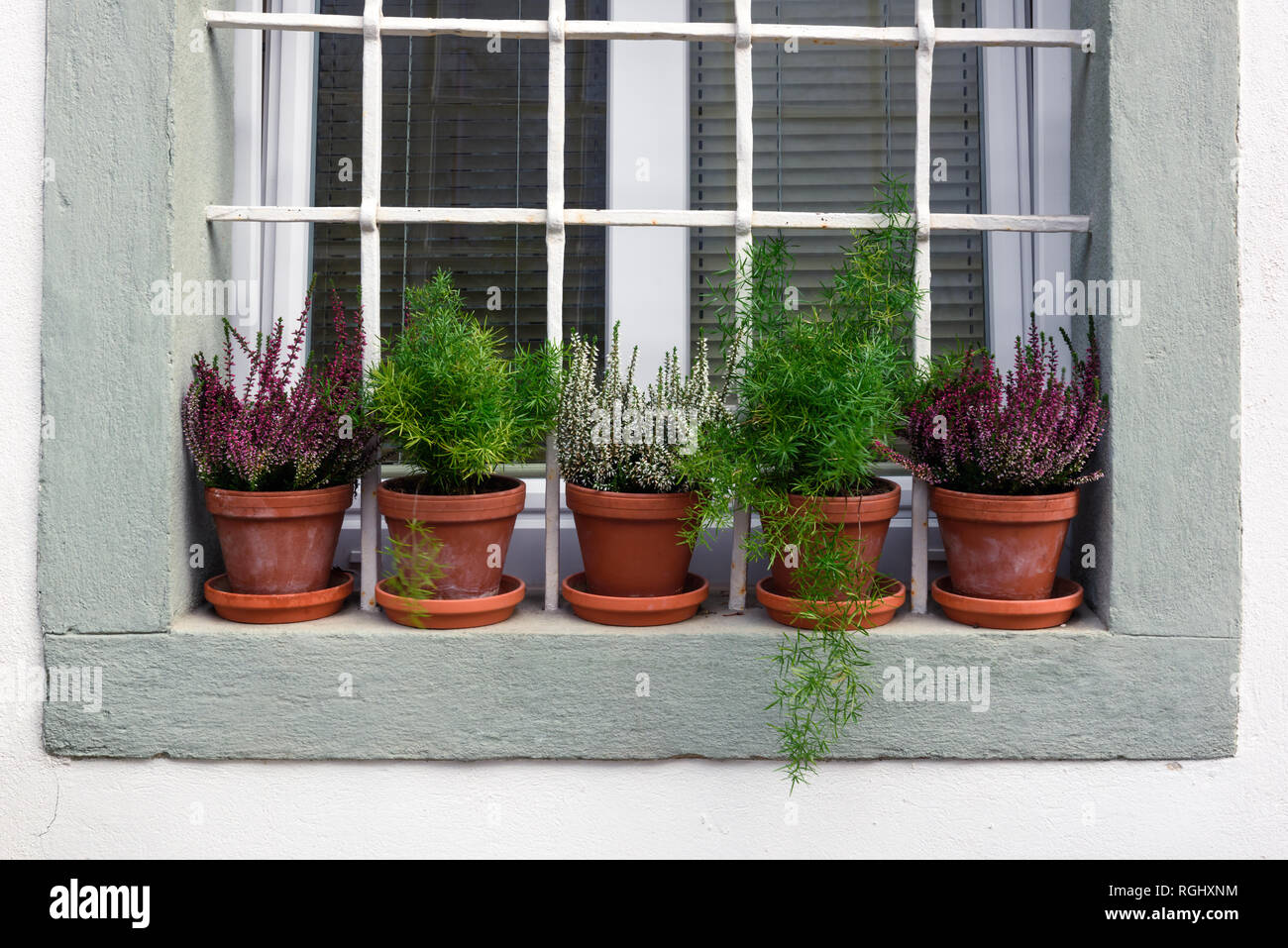 Fila di fiori in vasi di colore rosso sulla finestra rustico. Casa Tradizionale nozione Foto Stock