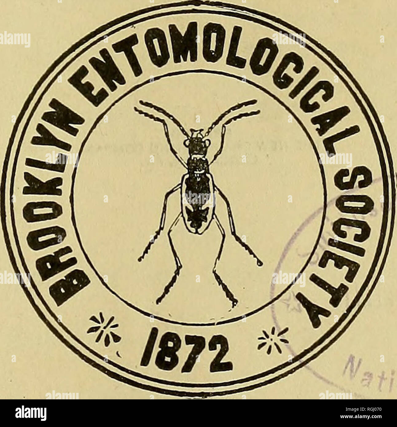 . Bollettino della Brooklyn Società Entomologica. Gli insetti. Bollettino della Brooklyn Entomological Society Vol. XVI NUOVA SERIE 1921. Modificato (in successione) da F. G. SCHAUPP JOHN B. SMITH GEO. H. HULST CHAS. LOUIS POLLARD R. P. DOW J. R. de la torre-BUENO COMITATO DI PUBBLICAZIONE J. R. de la torre-bueno. Editor G. P. ENGELHARDT . J- BEQUAERT. Si prega di notare che queste immagini vengono estratte dalla pagina sottoposta a scansione di immagini che possono essere state migliorate digitalmente per la leggibilità - Colorazione e aspetto di queste illustrazioni potrebbero non perfettamente assomigliano al lavoro originale. Brooklyn Società Entomologica. Brookly Foto Stock