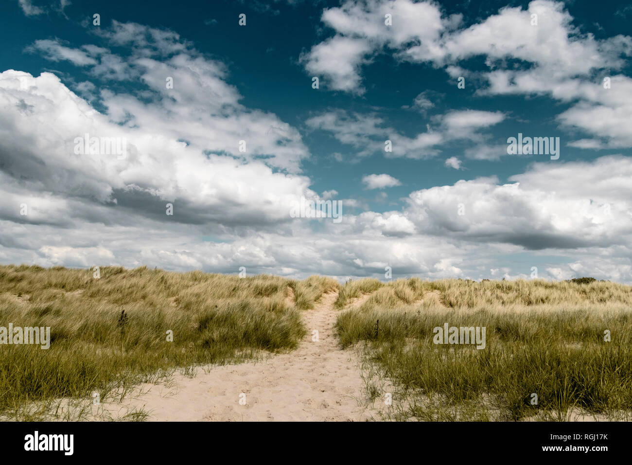 Dühnenwanderweg bei Genêts, Avranches, Normandie, Frankreich Foto Stock