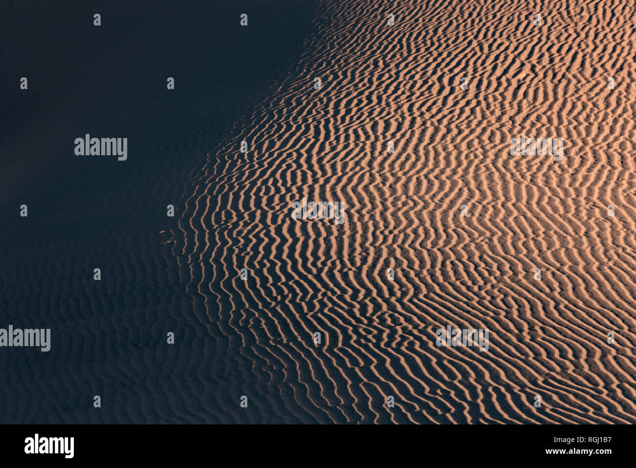 Stati Uniti d'America, Californien, Valle della Morte, il Parco Nazionale della Valle della Morte, Mesquite Flat dune di sabbia, full frame Foto Stock