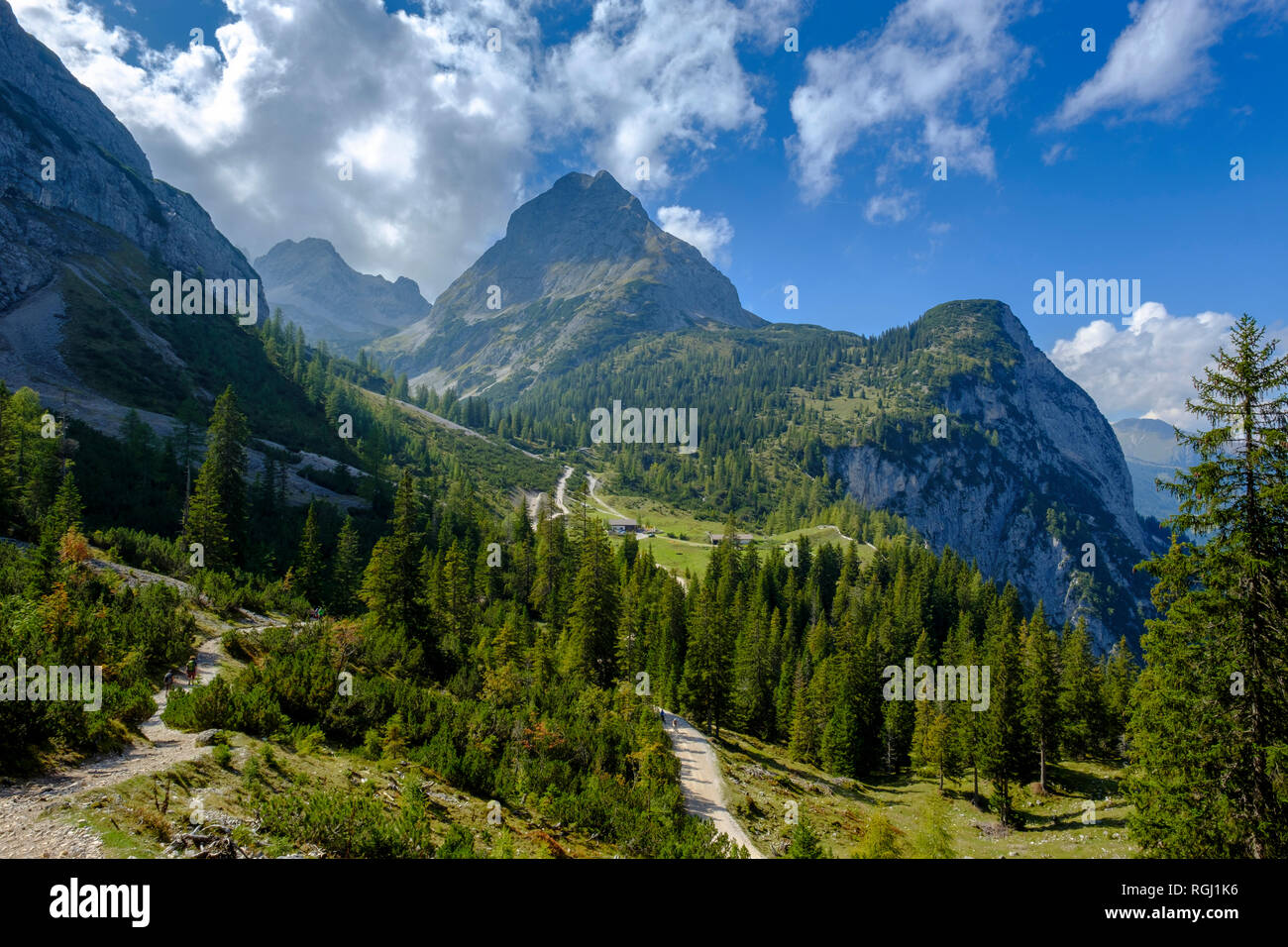 Austria, Tirolo, vista Ehrwalder Sonnenspitze, Seebenalm vicino a Ehrwald, Mieminger Kette Foto Stock