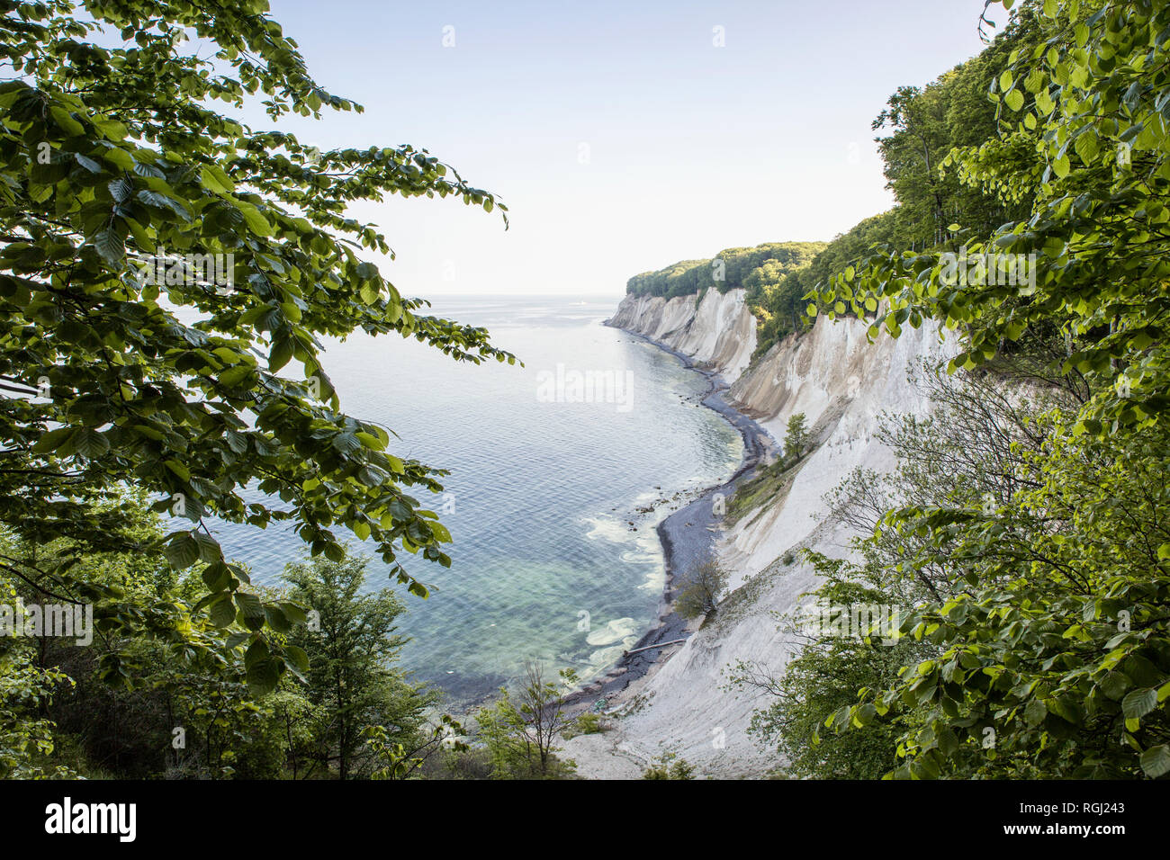 Germania, Meclemburgo-Pomerania, Ruegen, Jasmund National Park, chalk cliff Foto Stock