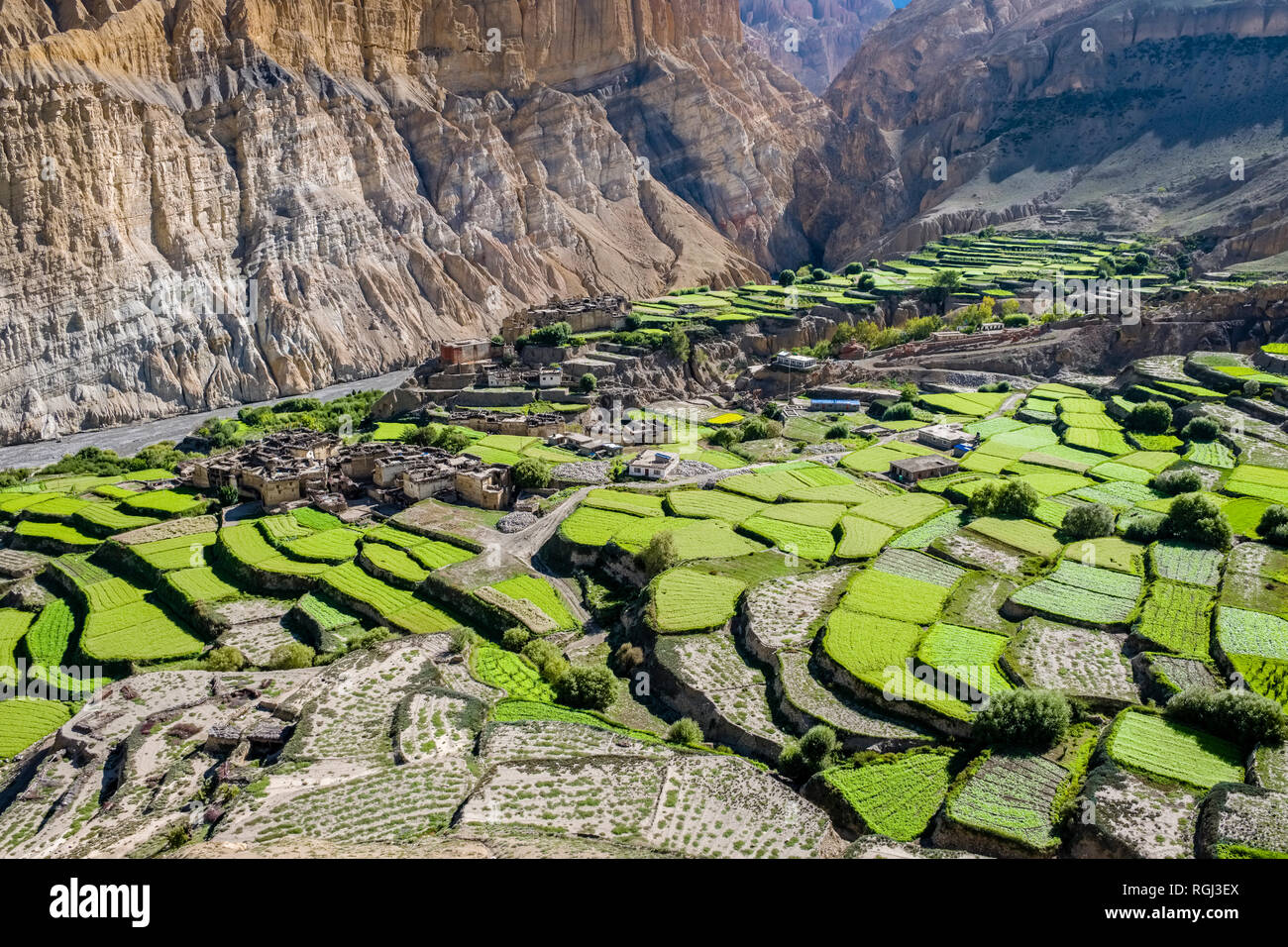 Panoramica vista aerea sulle case e il settore agricolo nei dintorni del villaggio con verdi campi di orzo, colorato ripide pareti rocciose in dista Foto Stock