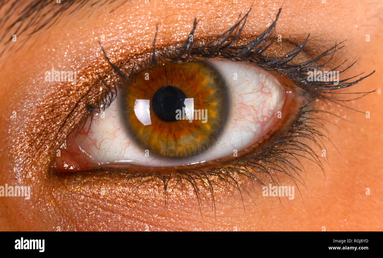 Occhio umano dettaglio, femmina occhio macro close up. Foto Stock