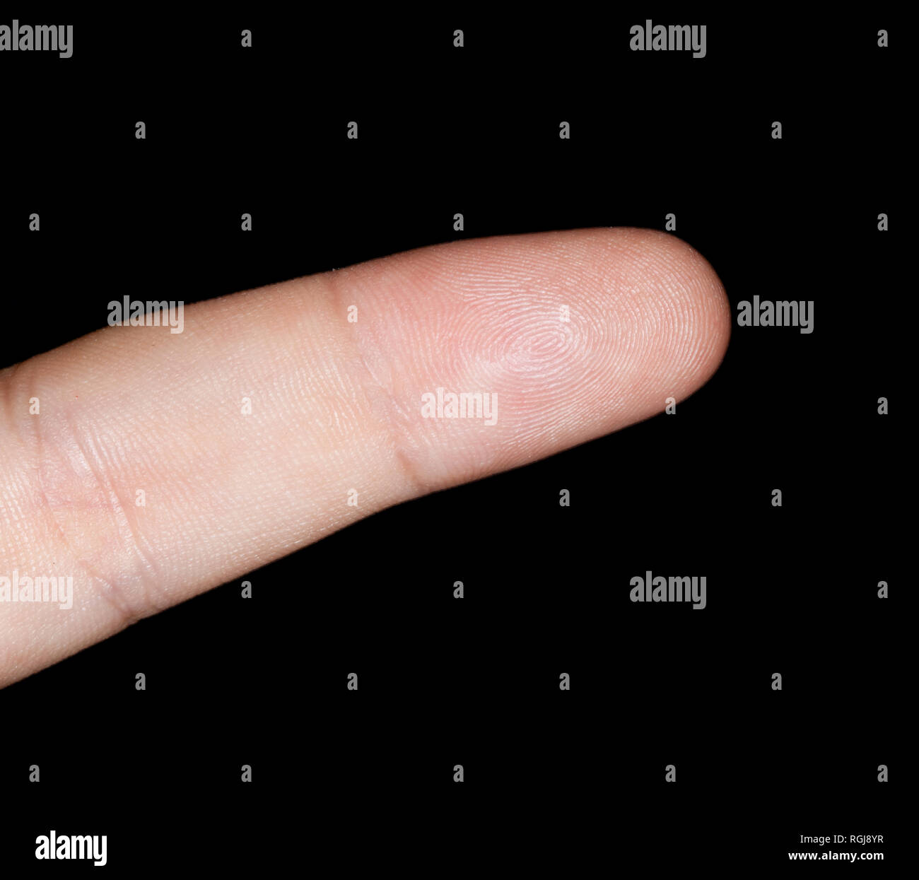 Close-up di impronta digitale isolato su sfondo nero Foto Stock