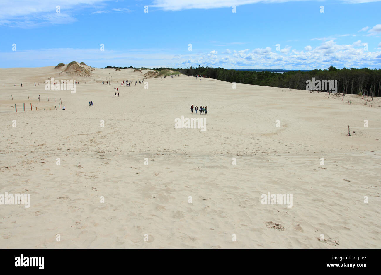 Dune di sabbia sulla spiaggia di Leba, Parco Nazionale di Slowinski, Polonia Foto Stock