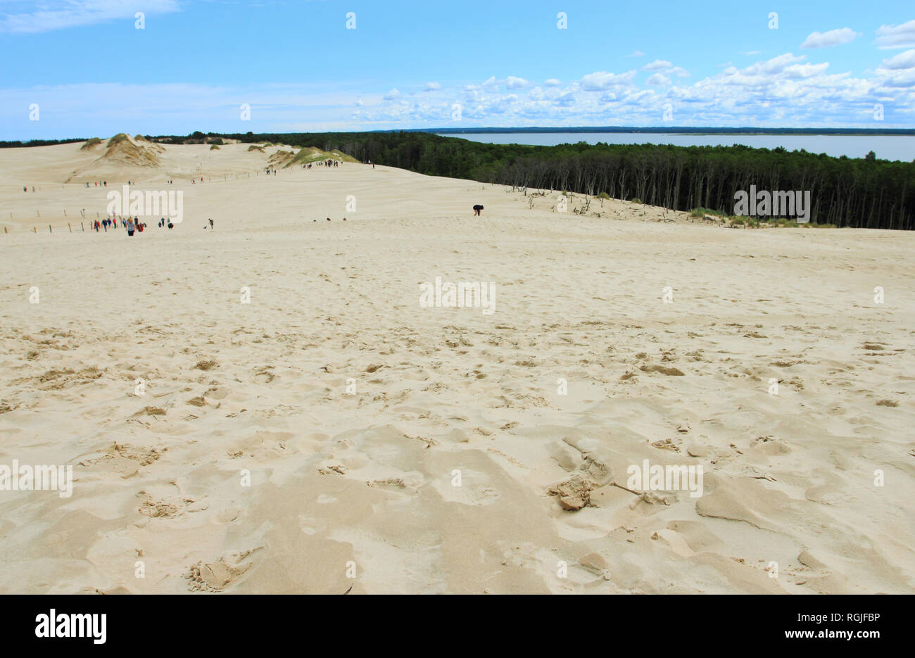Dune di sabbia sulla spiaggia di Leba, Parco Nazionale di Slowinski, Polonia Foto Stock