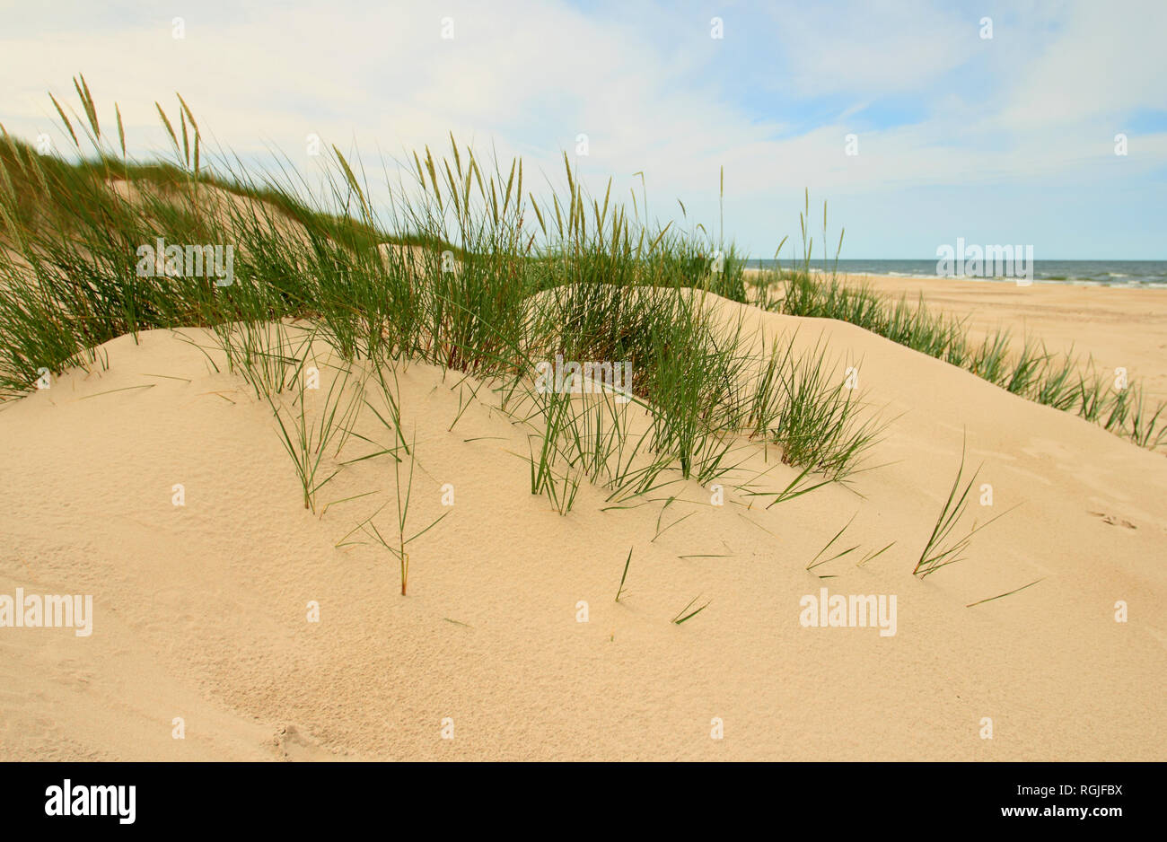 Dune di sabbia al Parco Nazionale di Slowinski. Polonia Foto Stock