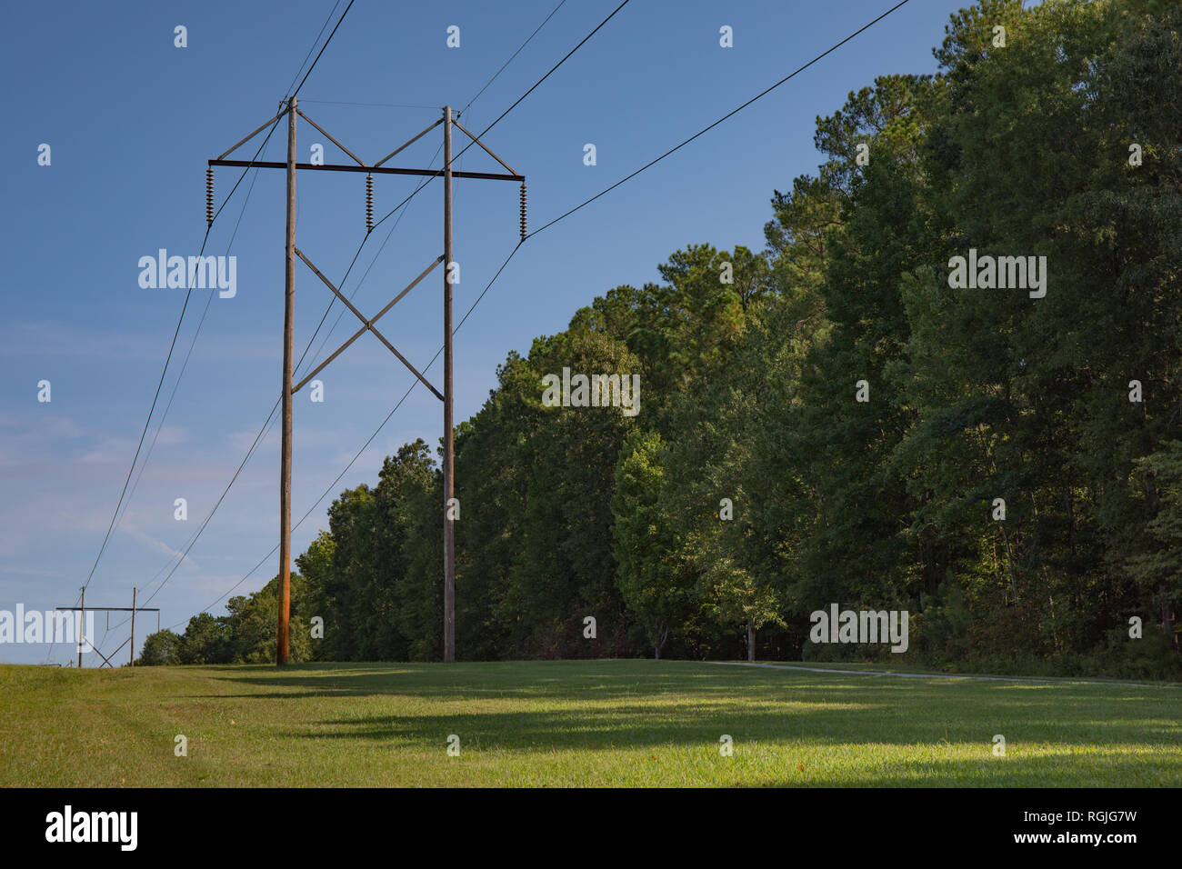 Linee elettriche ad alta tensione con un luminoso cielo blu e verdi alberi ed erba. Foto Stock