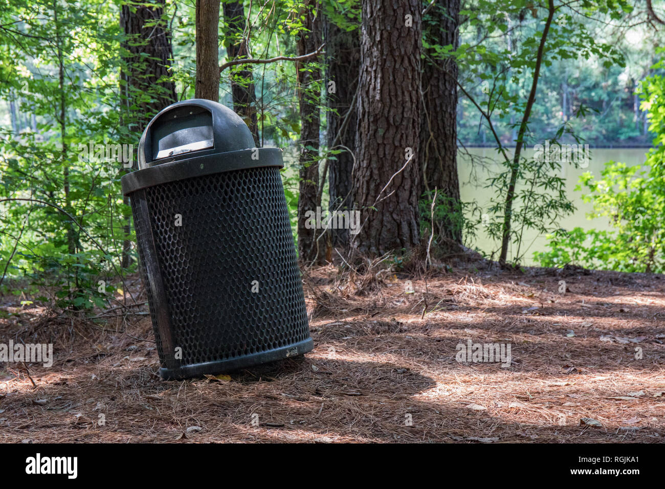 Un inclinato di immondizia in un lago di impostazione di foresta. Foto Stock