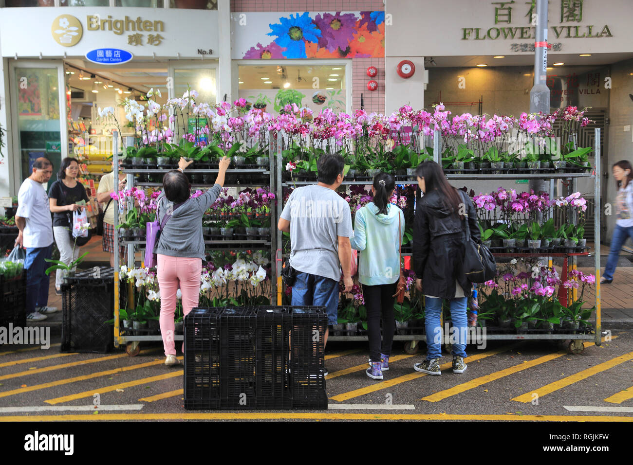 Flower Market Road, Mong Kok o Mongkok, Kowloon, Hong Kong, Cina, Asia Foto Stock