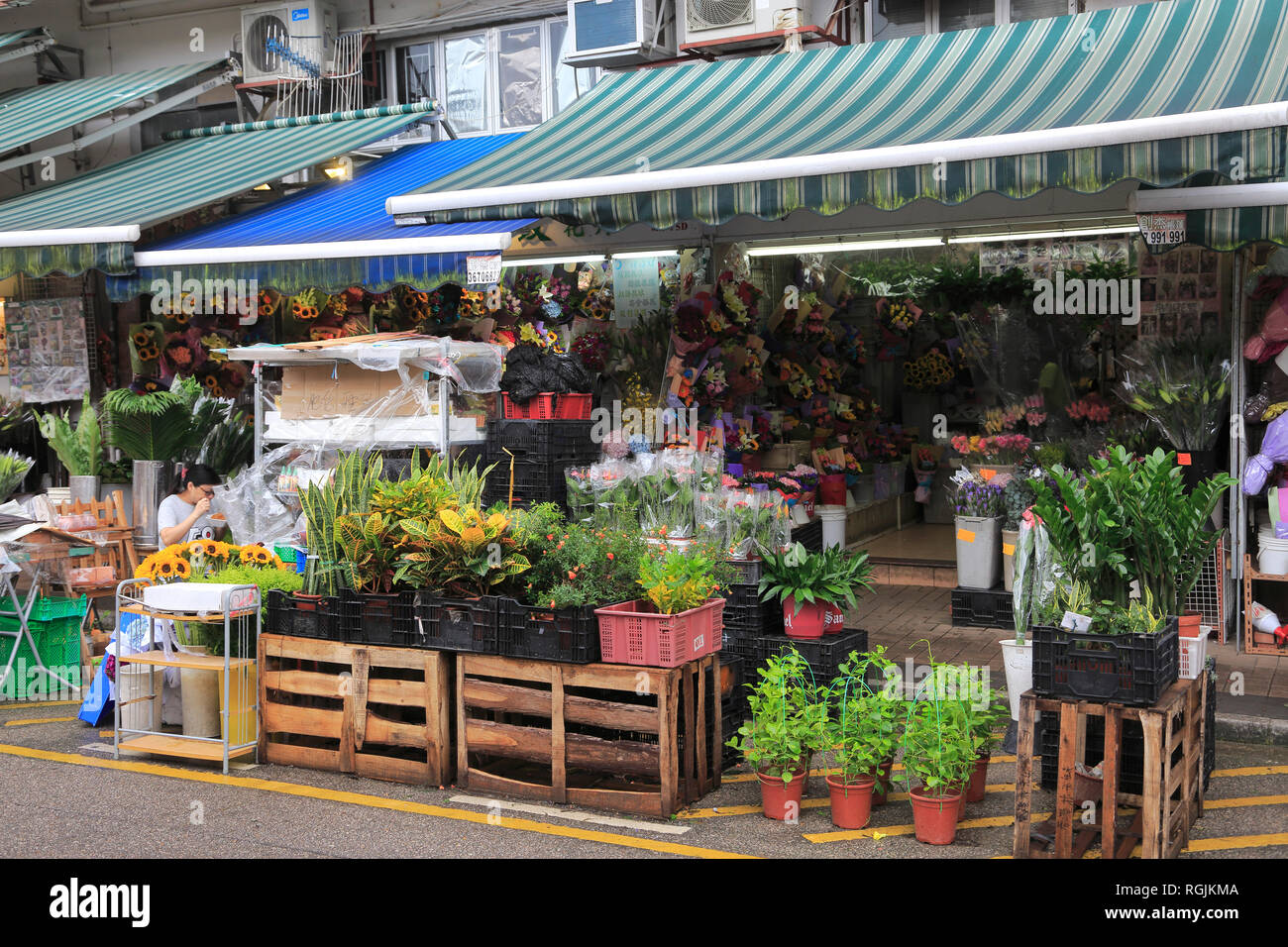 Flower Market Road, Mong Kok o Mongkok, Kowloon, Hong Kong, Cina, Asia Foto Stock