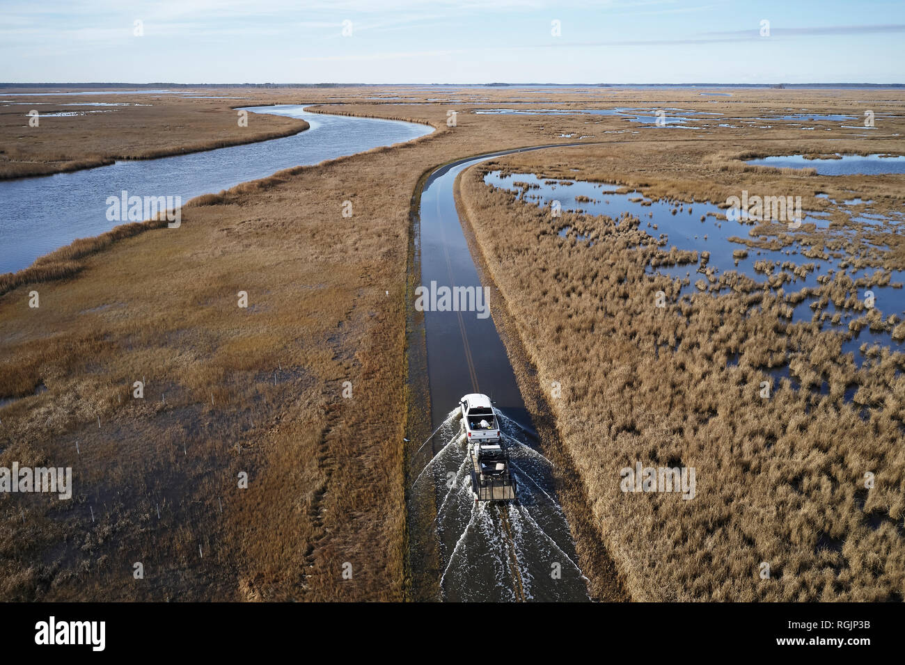 Stati Uniti d'America, Maryland, Cambridge, alta marea inondazioni dall innalzamento del livello del mare a Blackwater National Wildlife Refuge Foto Stock