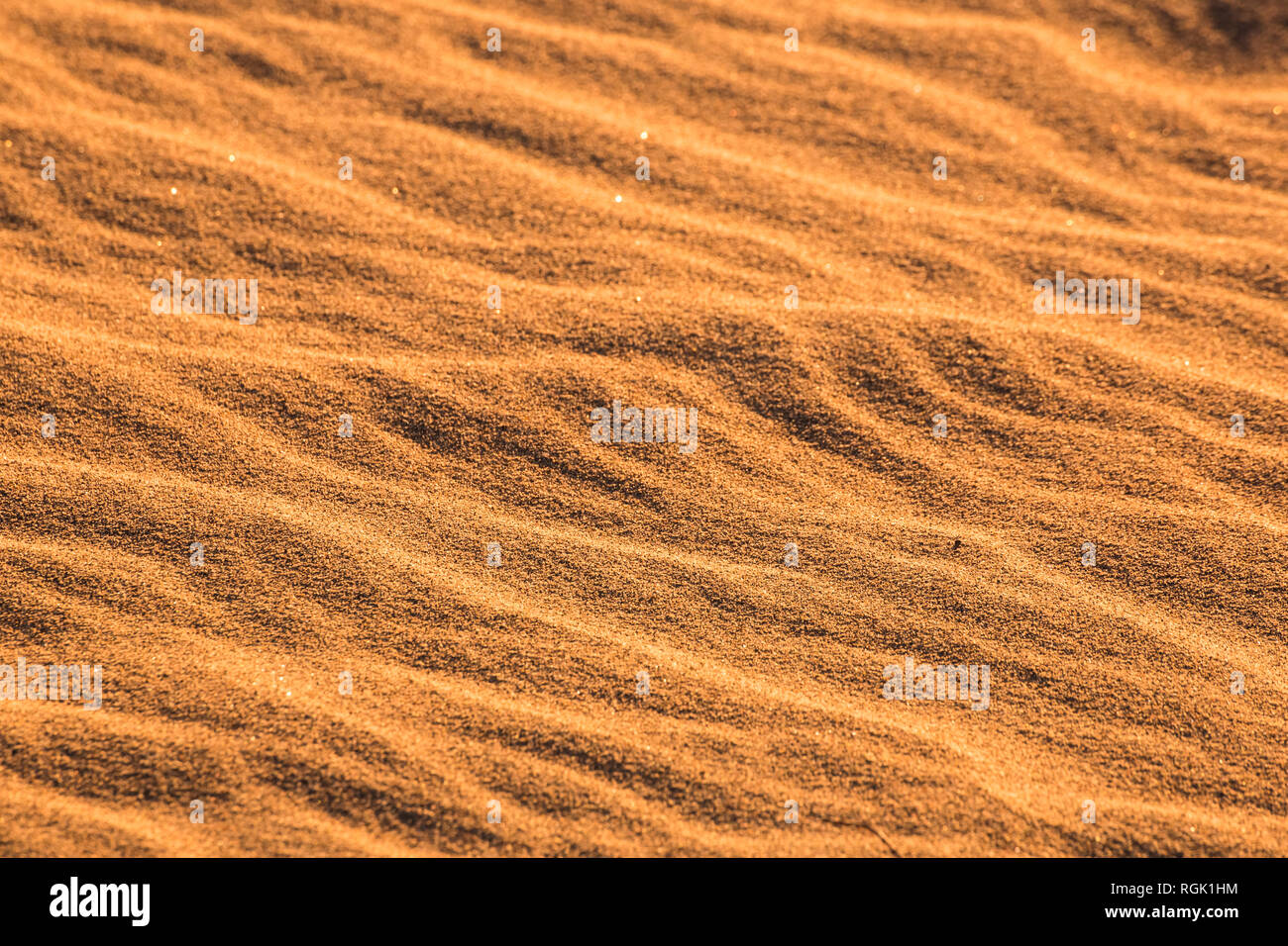 Stati Uniti d'America, Californien, Valle della Morte, il Parco Nazionale della Valle della Morte, Mesquite Flat dune di sabbia, full frame Foto Stock