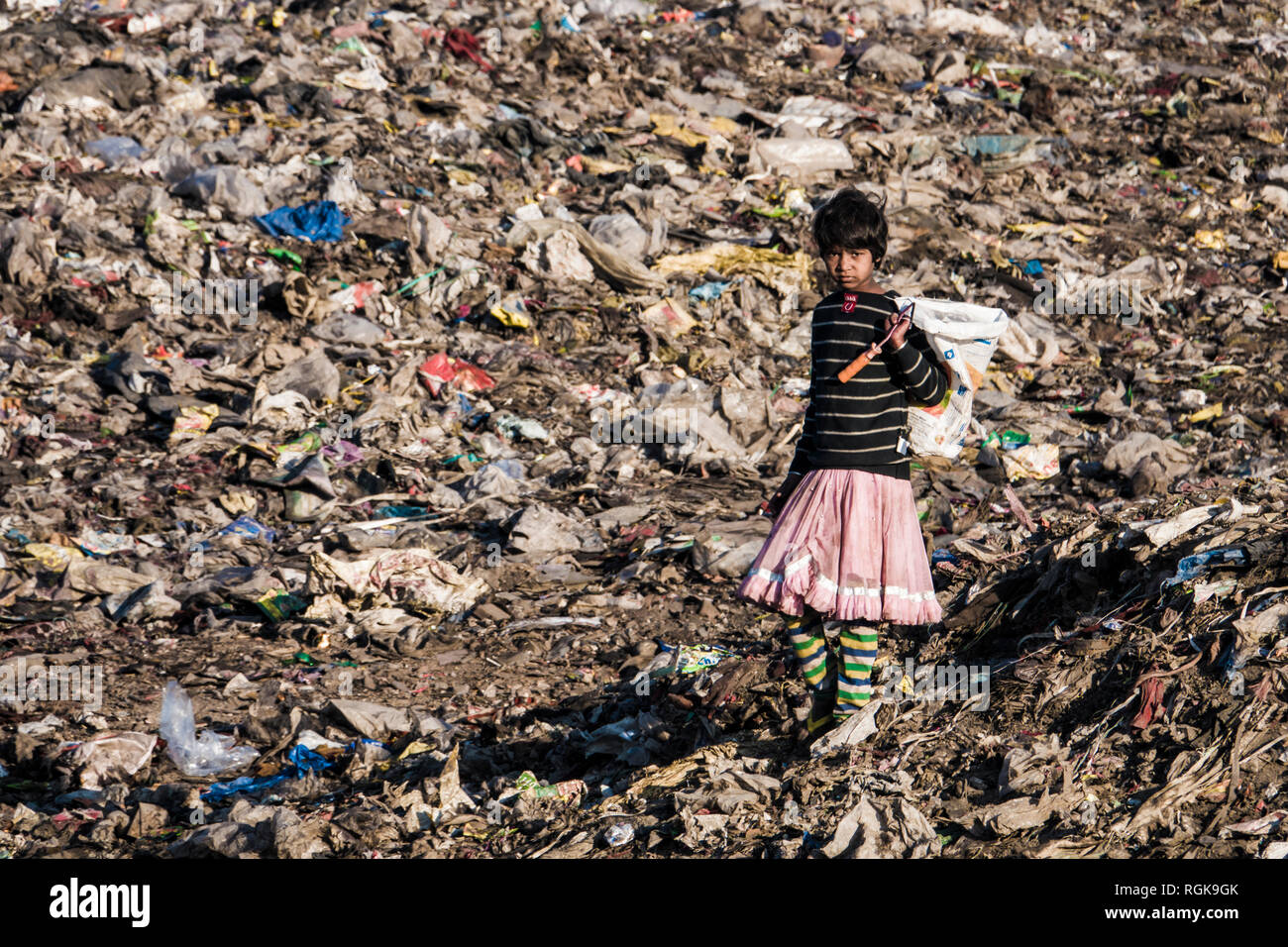 Ragazza giovane la raccolta di materiali di riciclo a discarica in Uttarakhand, India Foto Stock