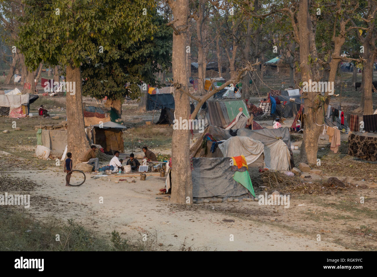 Comunità di persone che vivono in tende nella foresta alla periferia di Haridwar, Uttarakhand, India Foto Stock