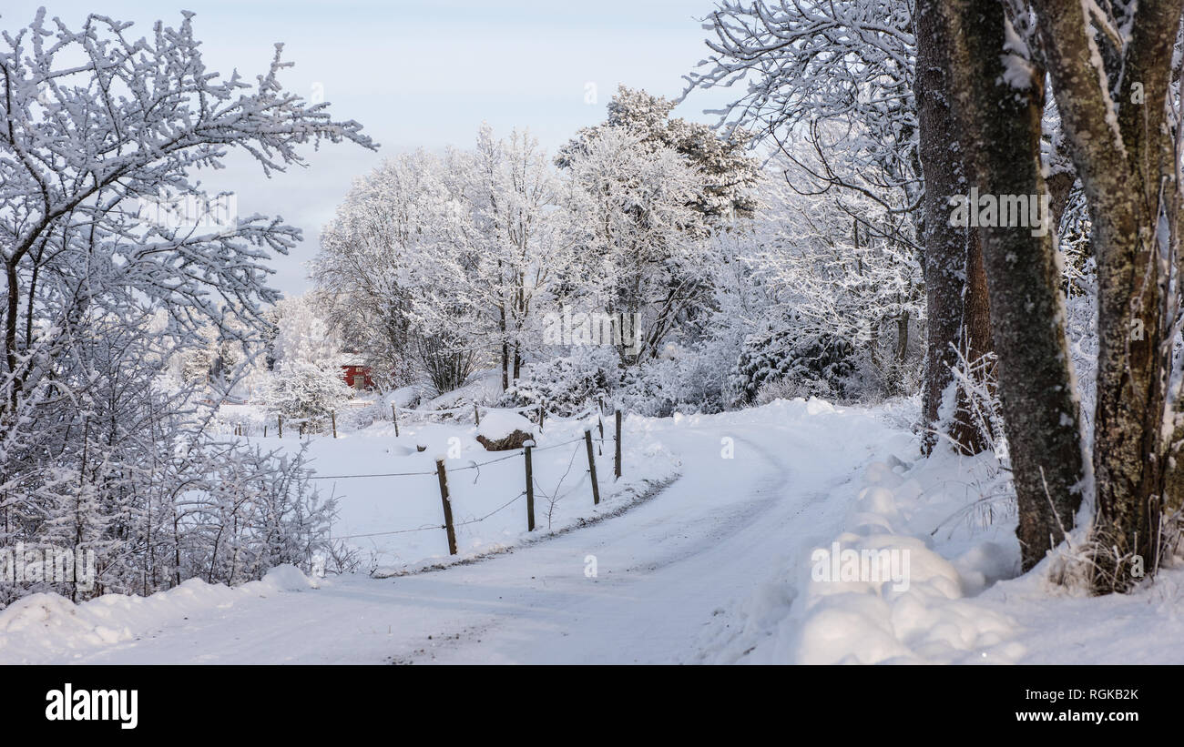 Un snowy ghiaioso avvolgimento su strada nelle zone rurali paesaggio invernale Foto Stock