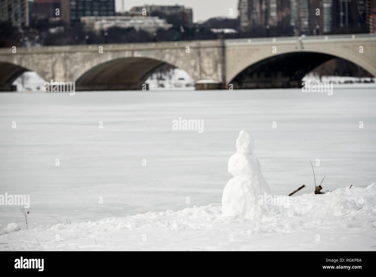 La zona intorno al bacino di marea e West Potomac Park sulla scia di Washington DC il blizzard di gennaio 2016, soprannominato dai locali come Snowzilla. Foto Stock