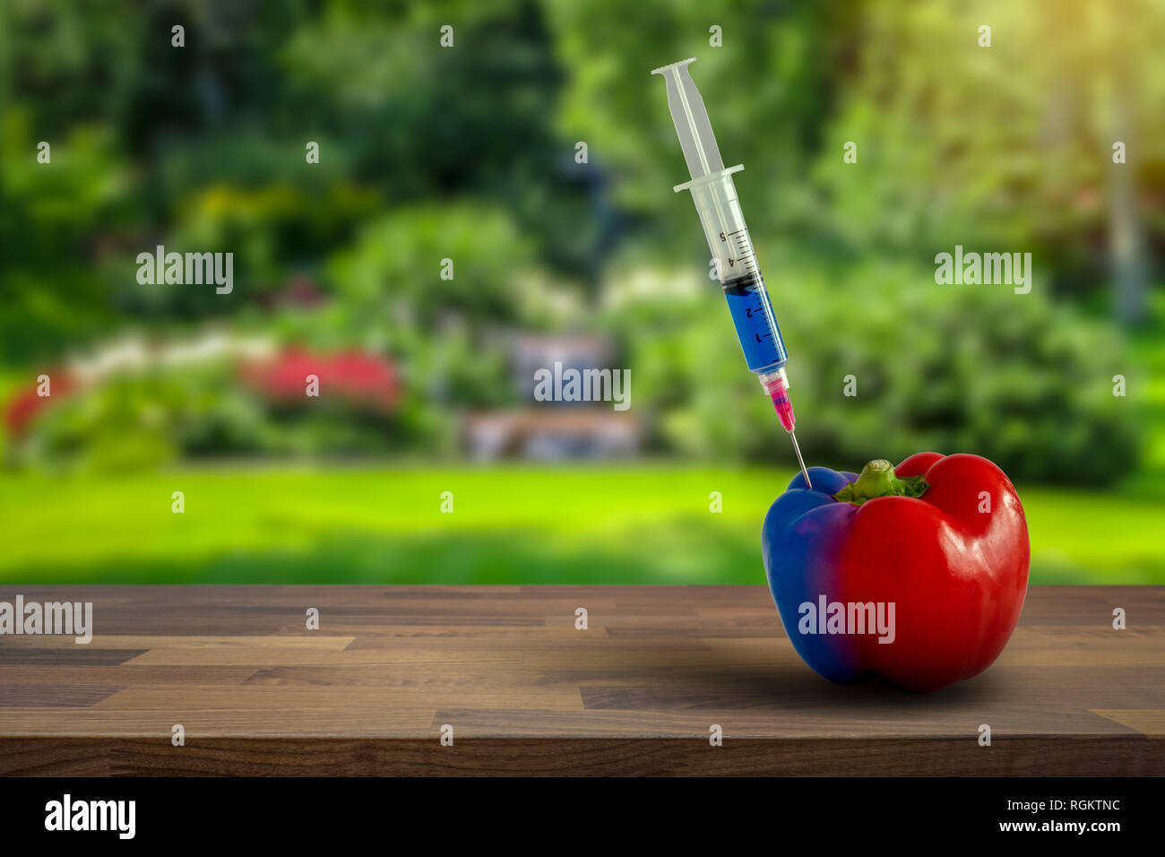 Ogm, pesticidi e chimica biologica concetto. Gli alimenti geneticamente modificati. Blu e rosso pepe paprica vegetale nel giardino verde. Spazio di copia Foto Stock