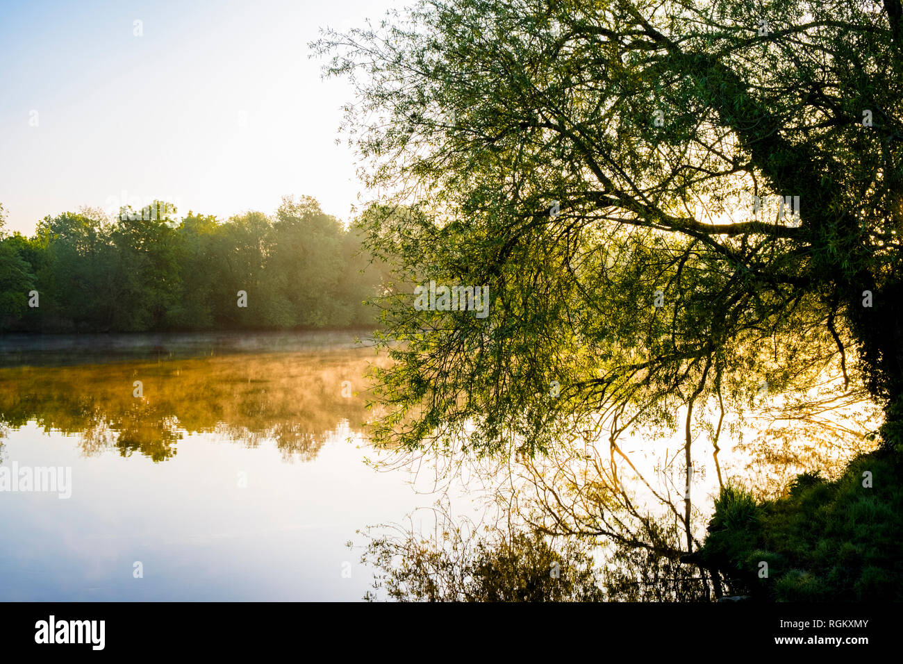 Riverbank scena. Early Morning mist, alla luce del sole e gli alberi lungo il fiume sul fiume Trent, Nottinghamshire campagna, England, Regno Unito Foto Stock