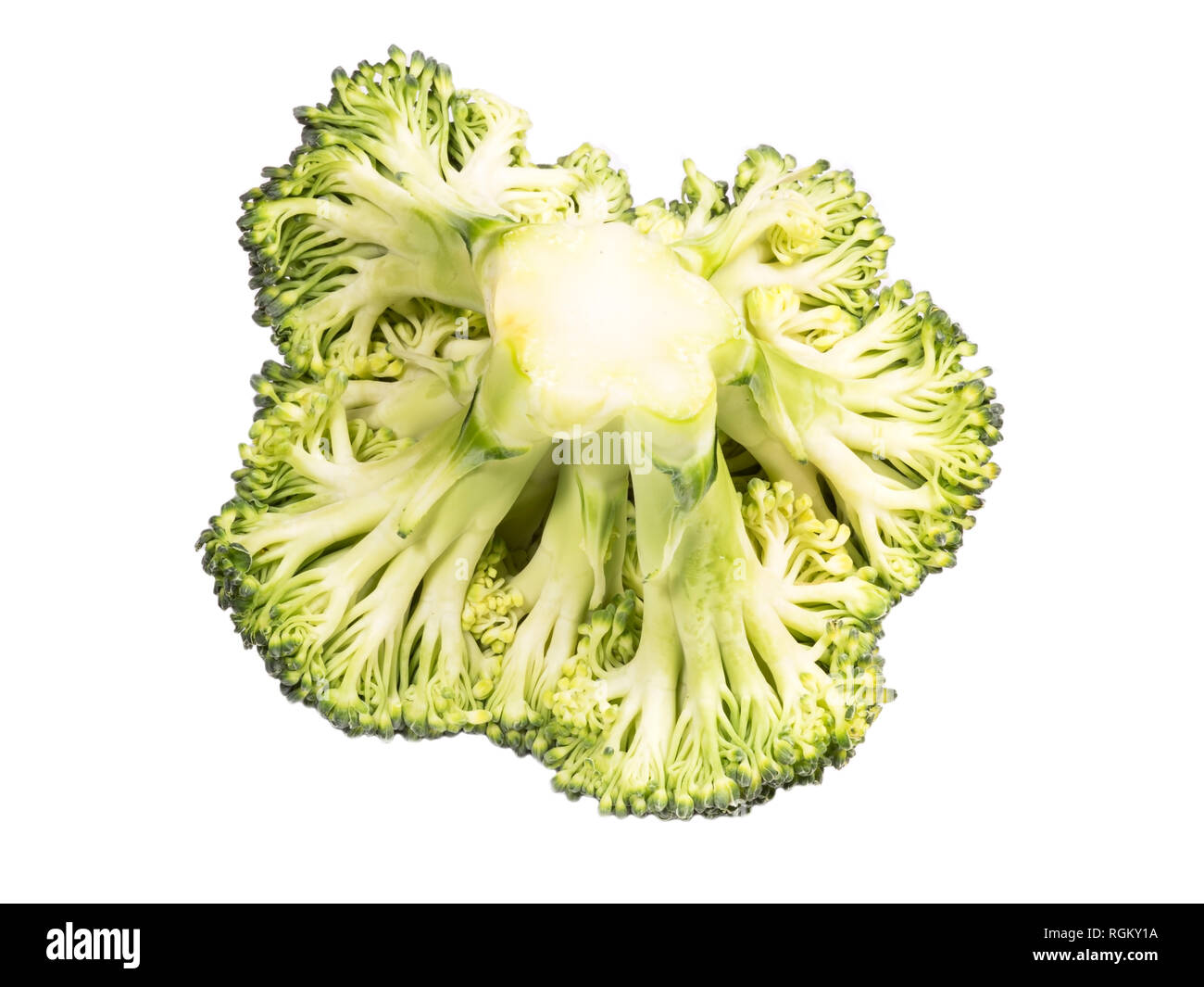 Broccoli verdi su sfondo bianco Foto Stock