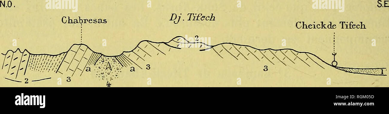 . Bulletin de la SociÃ©tÃ© gÃ©ologique de France. La geologia. 536 J. BLAYAC KT L. Gentil 14 juin d'ailleurs, il nous suffisait de constater la ressemblance si frap- pante du terrain gypseux qu'su rencontre lÃ , avec celui dÃ©crit plus haut.. Fig. 5. Â Coupe passant par le Dj. Tifech. 1, PlÃ©istocÃ¨ne ; 2, EocÃ¨ne infÃ©rieur: marnes Ã Ostrea multicostata et gros glau- conieux ; 3, SÃ©nonien : marnes et calcaires Ã Inocerainus Cripsi ; 4, terreno gypseux, marnes bariolÃ©es, ecc N.N.O. Cliabresas. Si prega di notare che queste immagini vengono estratte dalla pagina sottoposta a scansione di immagini che possono essere state enha digitalmente Foto Stock