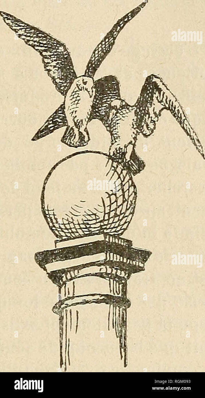 . Bulletin de la SociÃ©tÃ© nationale d'Acclimatation de France. SociÃ©tÃ© nationale d'Acclimatation de France; animali; zoologia, economico; botanica, economico. CHRONIQUE GENERALE ET Faits Divers 433 eurent Ã vaincre lorsque, sous la conduite de MoÃ¯se, ils s'Ã©chappÃ¨affitto de Â" La terre de servitù Â". Au Printemps de 1848, sur les Rives dÃ©sertiques du Lac SalÃ©, manquant de toutes autres ressources, les Mormoni suivaient avec anxiÃ©tÃ© la crois- sance de leurs premiÃ¨res semailles, lorsque des nuÃ©es de Sau- analoghi terelles Ã celles d'Egypte et d'AlgÃ©rie, VÅdipoda corallipes, discendente de Foto Stock