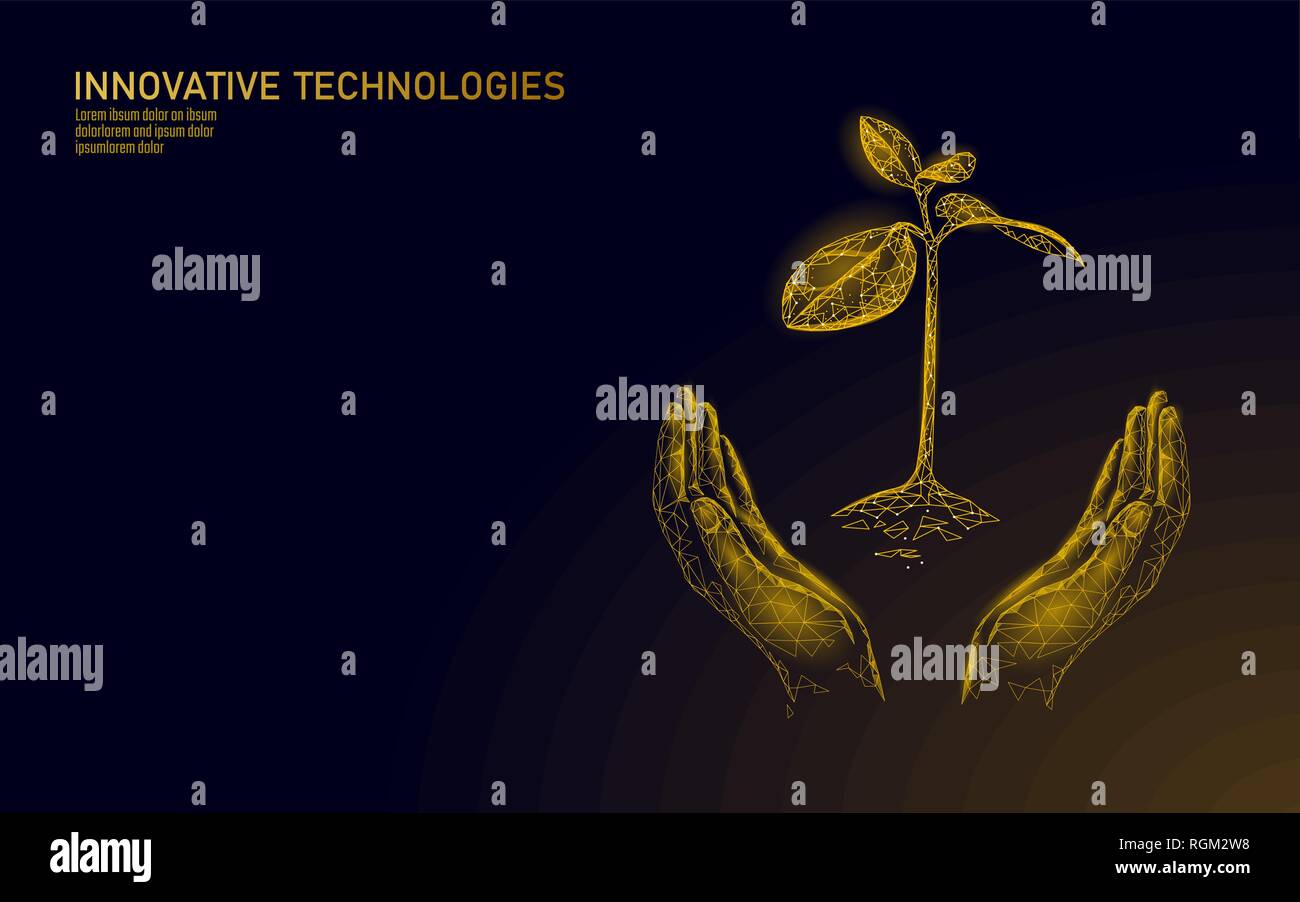 Bassa poli mani golden tree germoglio. La ricchezza della prosperità di risparmio di denaro reddito crescente profitto. Crescere economia affari concetto triangolo poligonale 3D Illustrazione Vettoriale