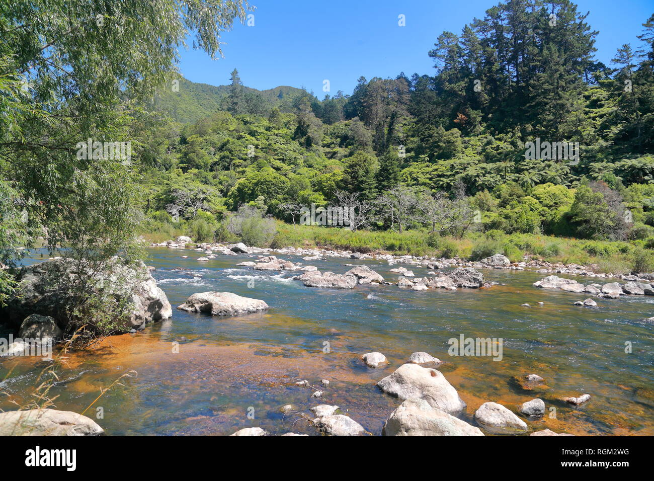 Il Karangahake Gorge tra Waikino e Paeroa, Isola del nord della Nuova Zelanda Foto Stock