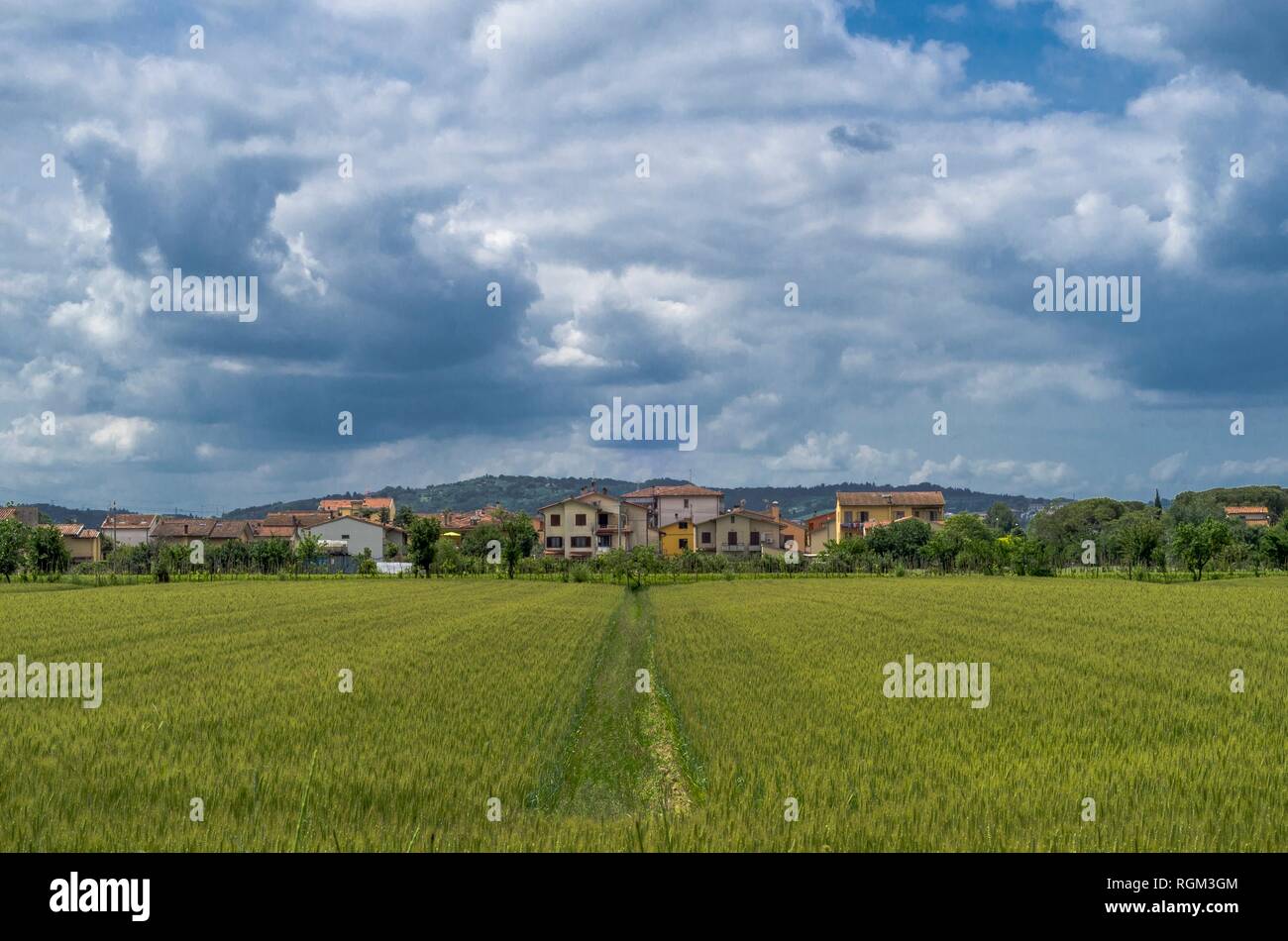 Paesaggio di campagna con prato e case in background Foto Stock