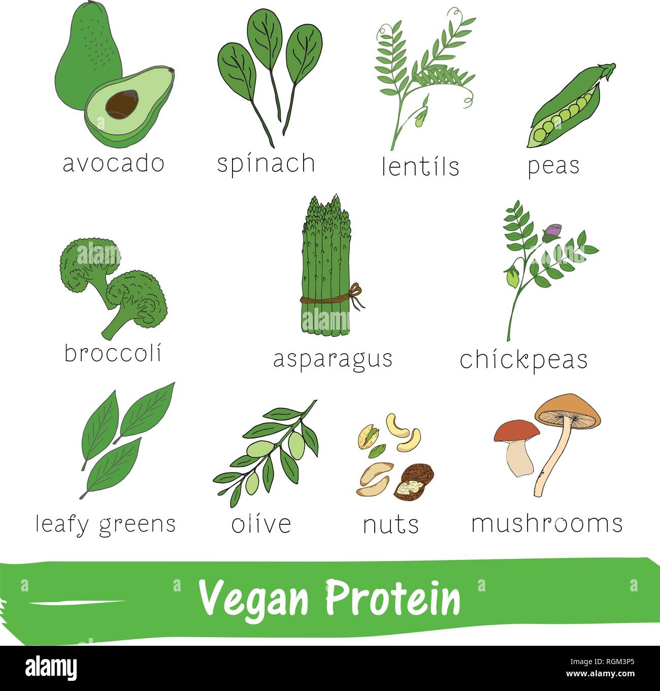 La verdura e la frutta con un elevato contenuto di proteina vegano. Disegnata a mano vitamina impostato Illustrazione Vettoriale