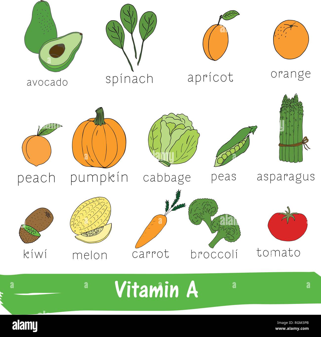 La verdura e la frutta con un elevato contenuto di vitamina A. disegnati a mano vitamina impostato Illustrazione Vettoriale