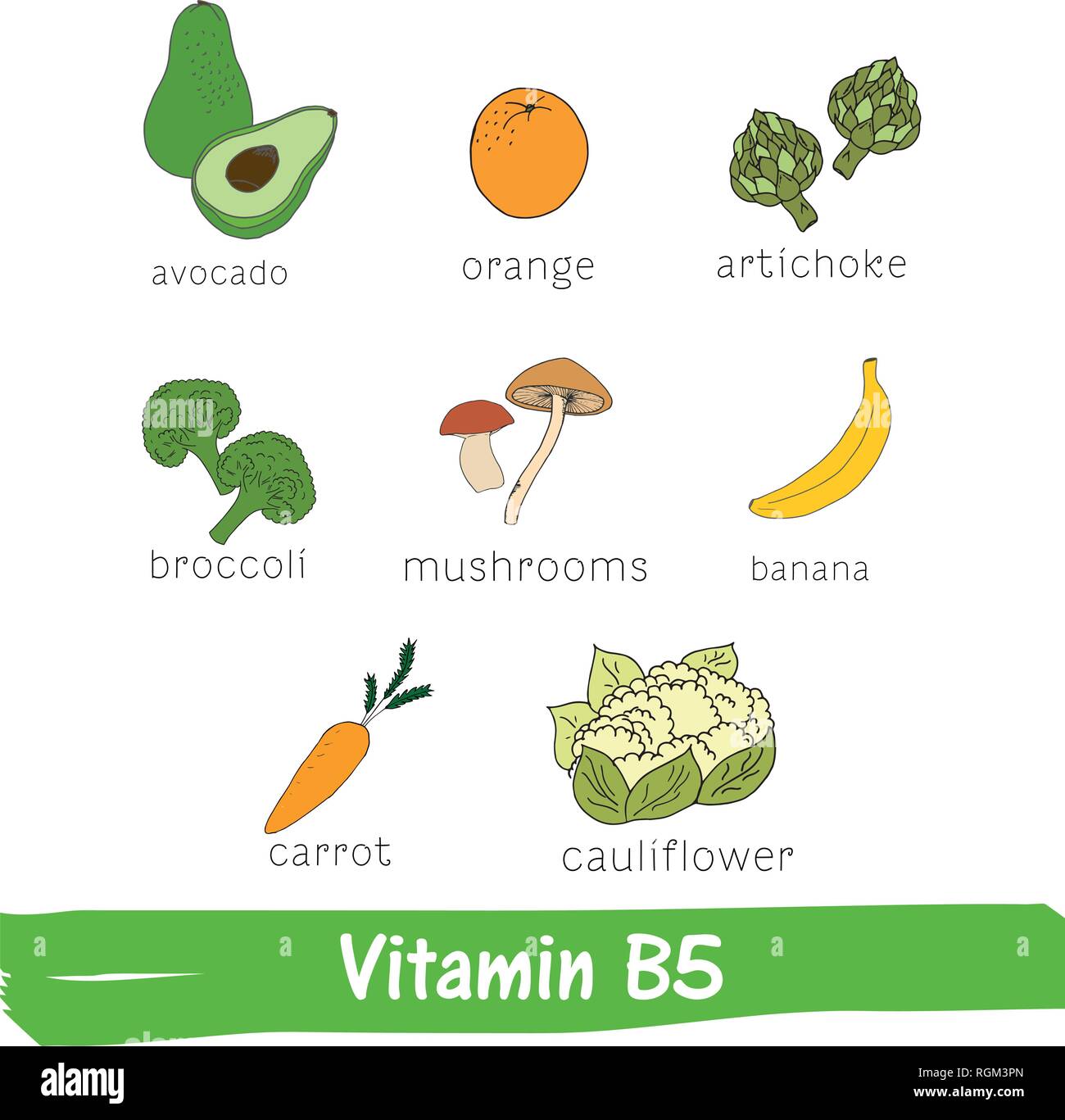 La verdura e la frutta con un alto contenuto di vitamina B5. Disegnata a mano vitamina impostato Illustrazione Vettoriale