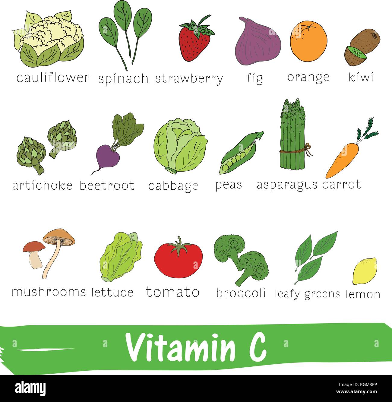 La verdura e la frutta con un elevato contenuto di vitamina C. disegnati a mano vitamina impostato Illustrazione Vettoriale