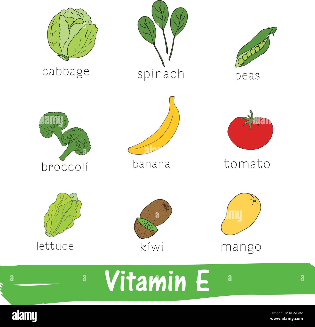 La verdura e la frutta con un elevato contenuto di vitamina E. disegnati a mano vitamina impostato Illustrazione Vettoriale