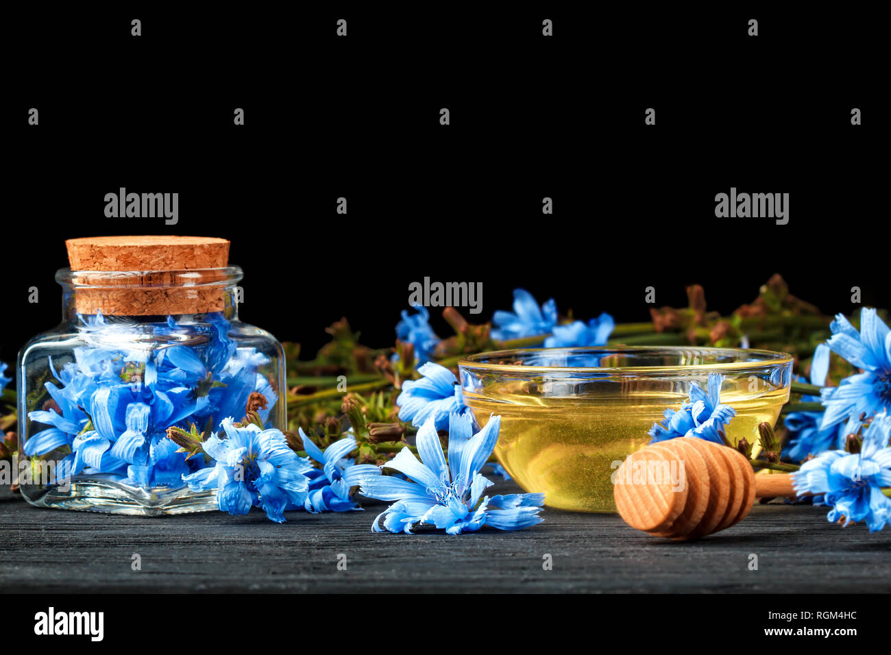Comune di cicoria (Cichorium intybus) herb in bottiglia. Medicina alternativa concetto su un tavolo di legno su sfondo nero(fuoco selettivo). Foto Stock