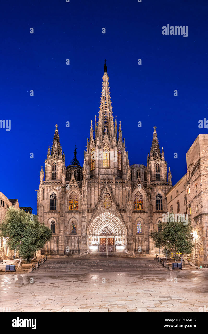 Vista notturna della Cattedrale di Santa Croce e di Santa Eulalia, Barcellona, in Catalogna, Spagna Foto Stock